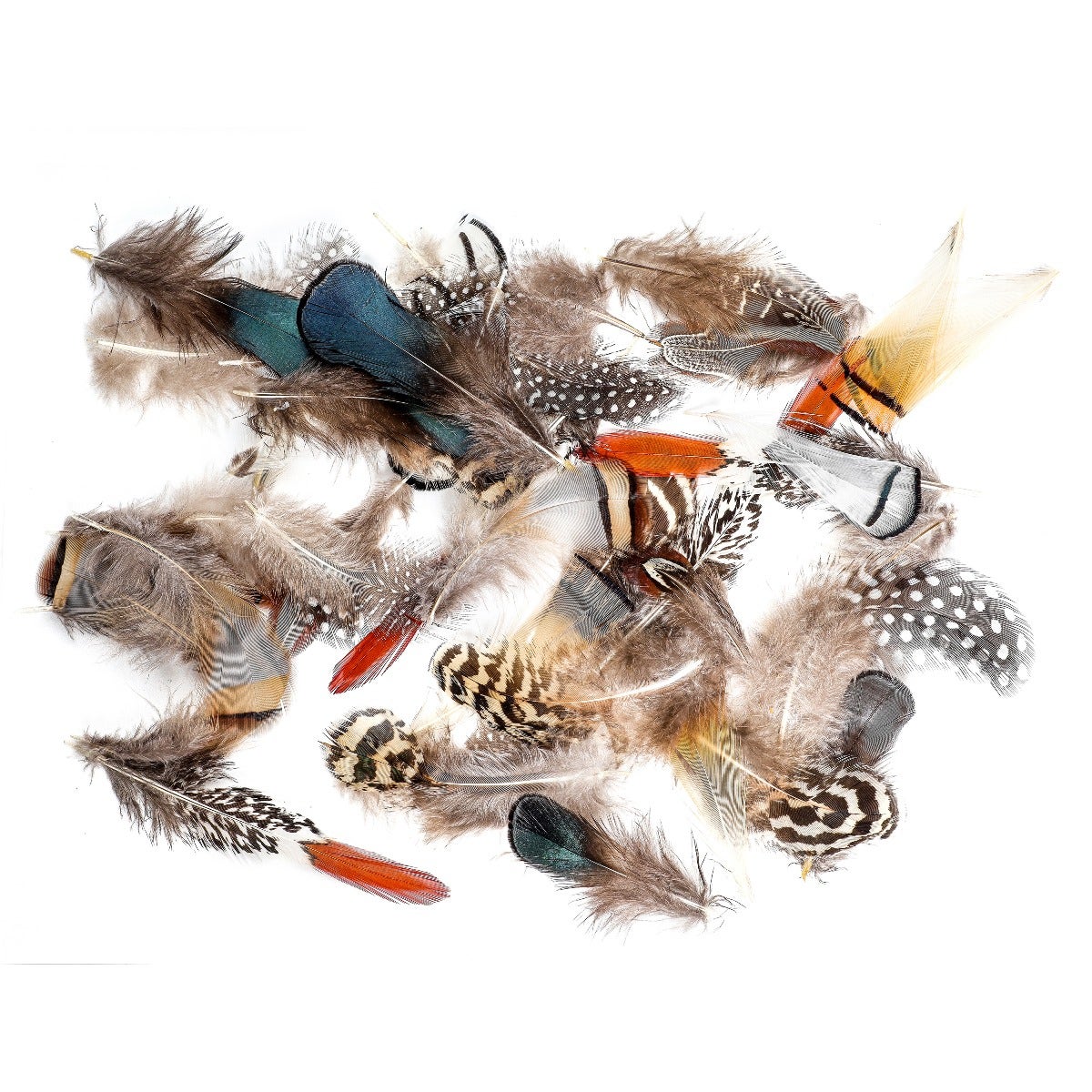 MIX BROWN Hat Feathers Assorted Natural Feather Packs Accessories