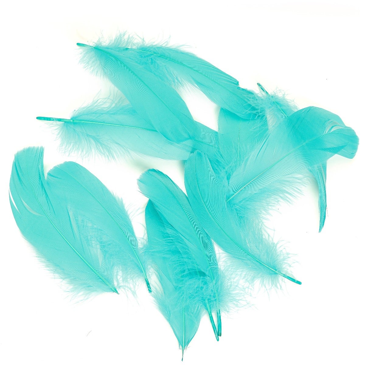 Goose Pallet Feathers 6-8" - 12 pc - Aquamarine
