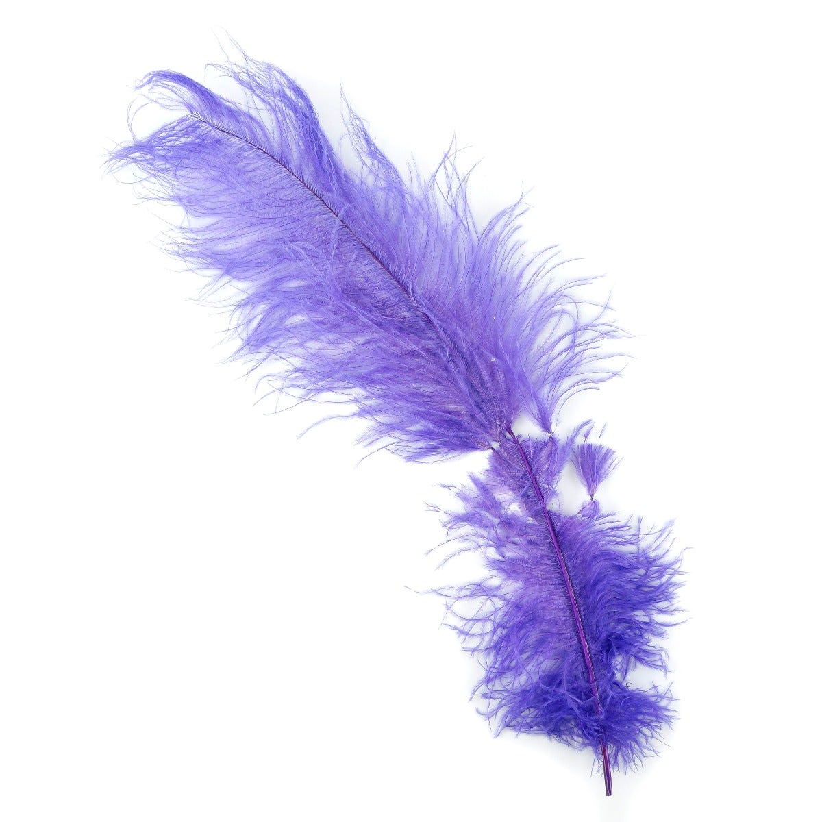 Ostrich Feathers-Damaged Drabs - Lavender