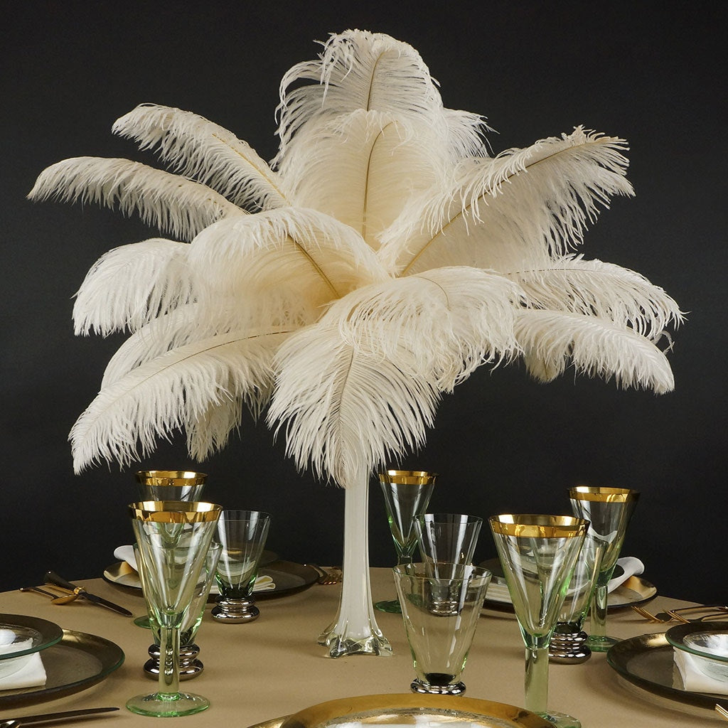 Ostrich Feathers 13-16" Drabs - Ivory