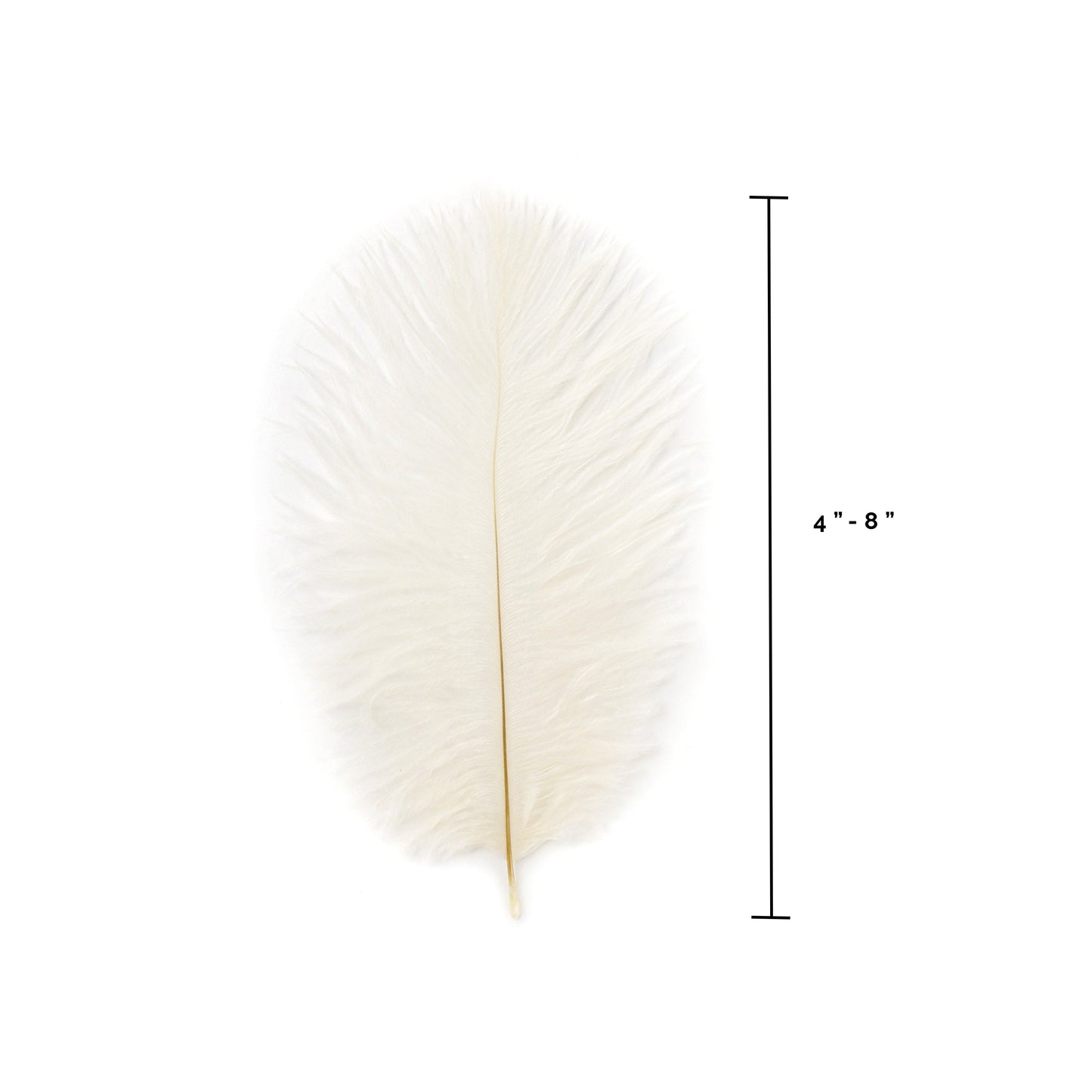 Ostrich Feathers 4-8" Drabs - Ivory