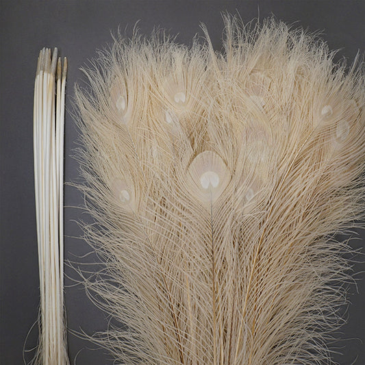 Peacock Tail Eyes Bleached Dyed - Ivory - 30 - 40"