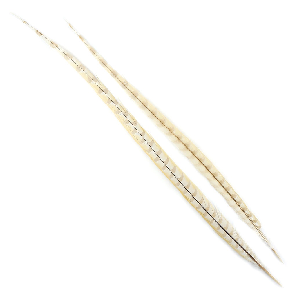 Venery Pheasant Tails - Bleached and Dyed - 30 - 40" 1pc - Ivory