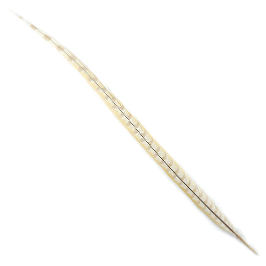 Venery Pheasant Tails - Bleached and Dyed - 30 - 40" 1pc - Ivory