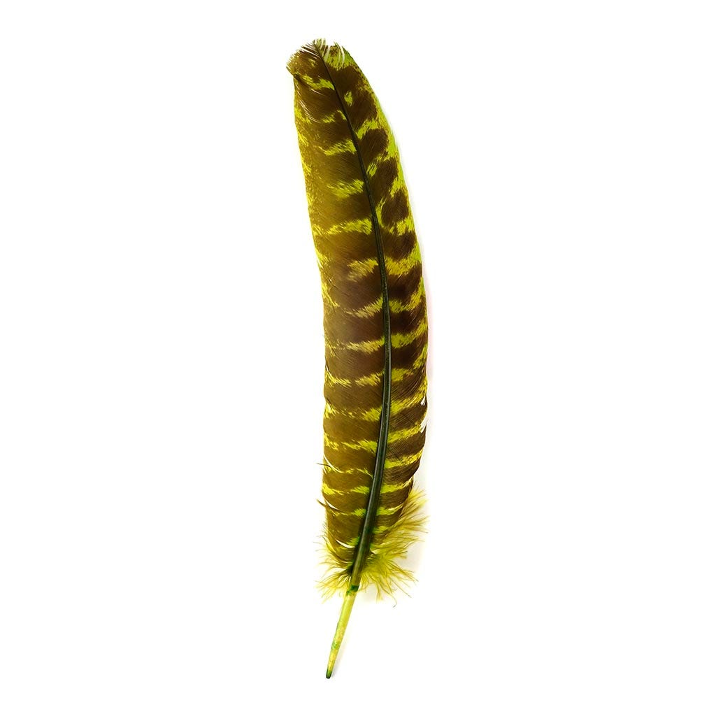 Barred Turkey Quills - Left Wing - 8-12 Inches - 12 pc - Fluorescent Chartreuse
