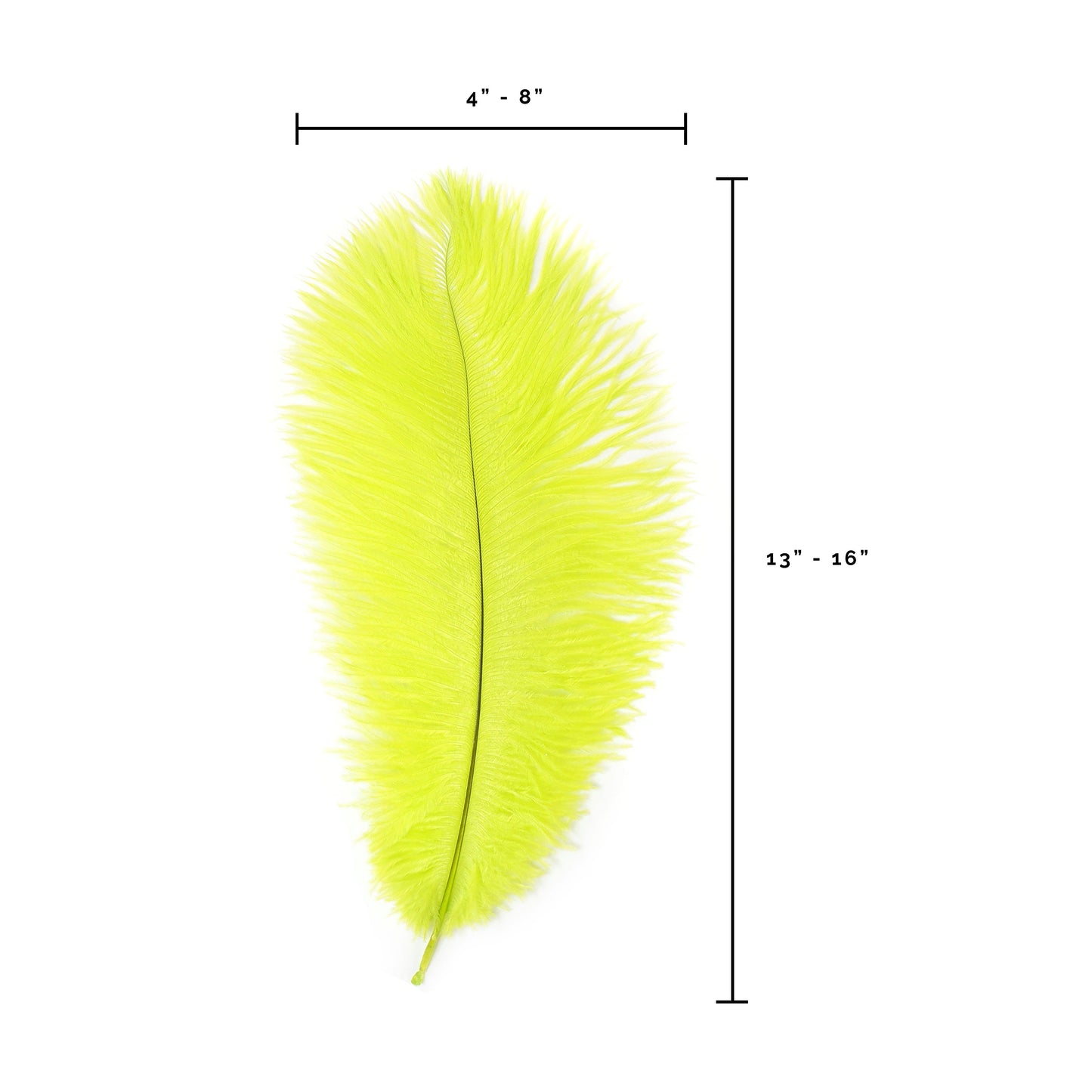 Ostrich Feathers 13-16" Drabs - Lime