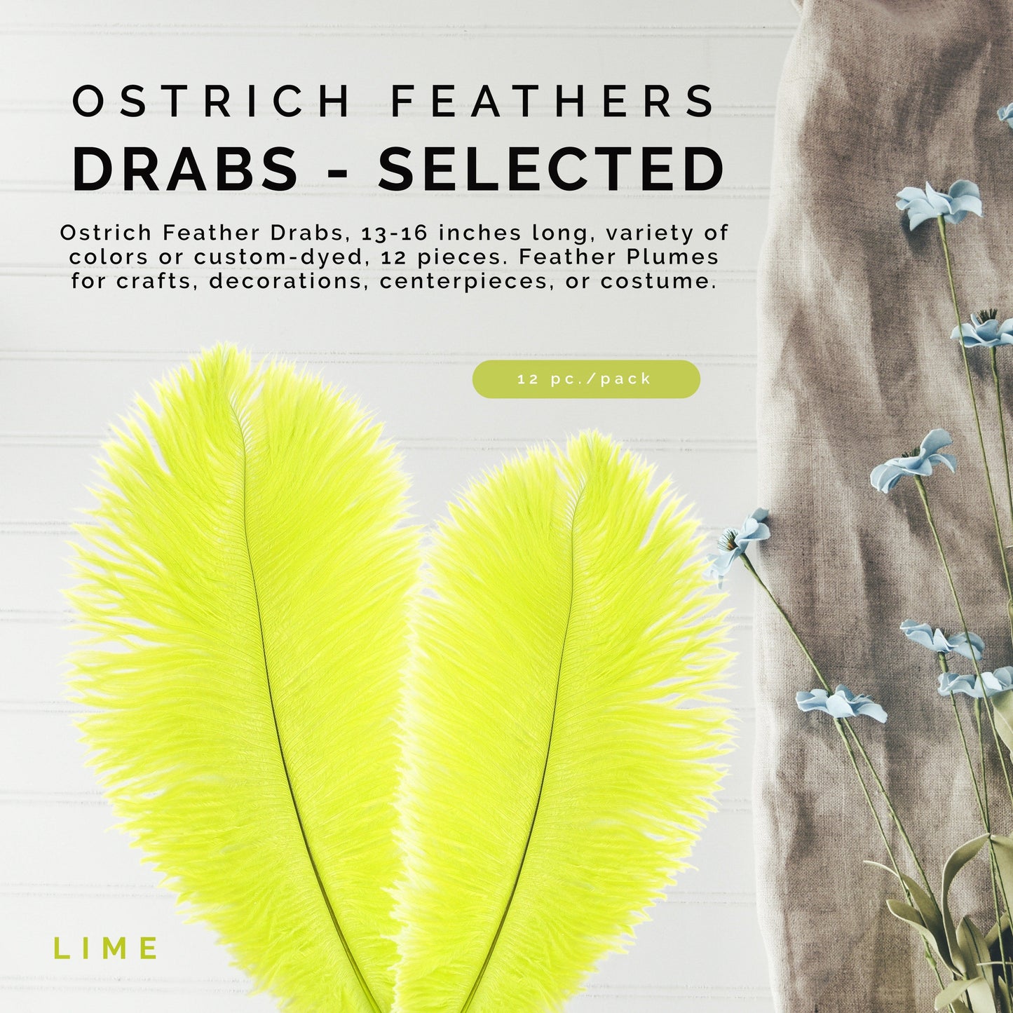 Ostrich Feathers 13-16" Drabs - Lime