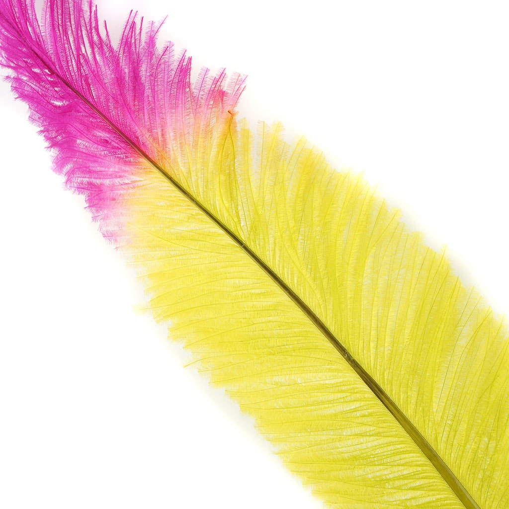 Ostrich Nandu Tipped Feathers Selected -  Fl Lime Green - Shocking Pink