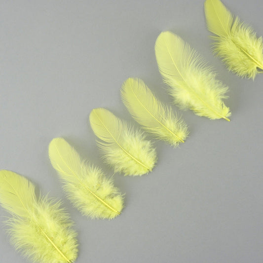 Rooster Plumage-White-Dyed - Fl Chartreuse