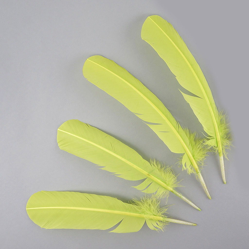 Turkey Quills Dyed Feathers - Lime Green