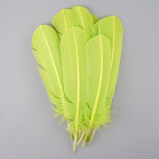 Turkey Quills Selected - Lime