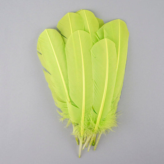 Turkey Quills by Pound - Left Wing - Lime
