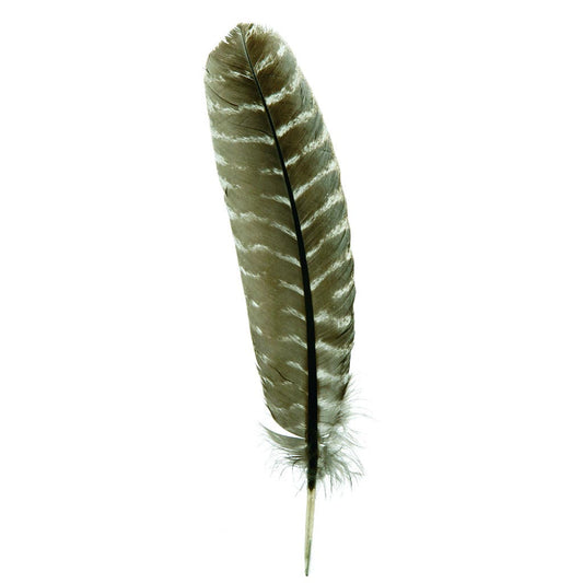 Turkey Feathers – Zucker Feather Products,