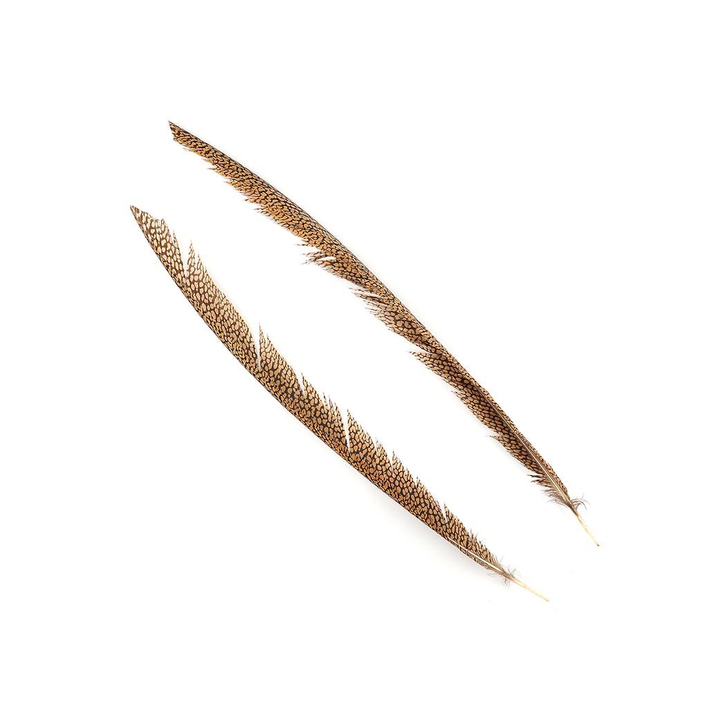 Natural Golden Pheasant Tail Center Feathers, 20 inches & up, 100 pieces, 2nd Quality Feathers