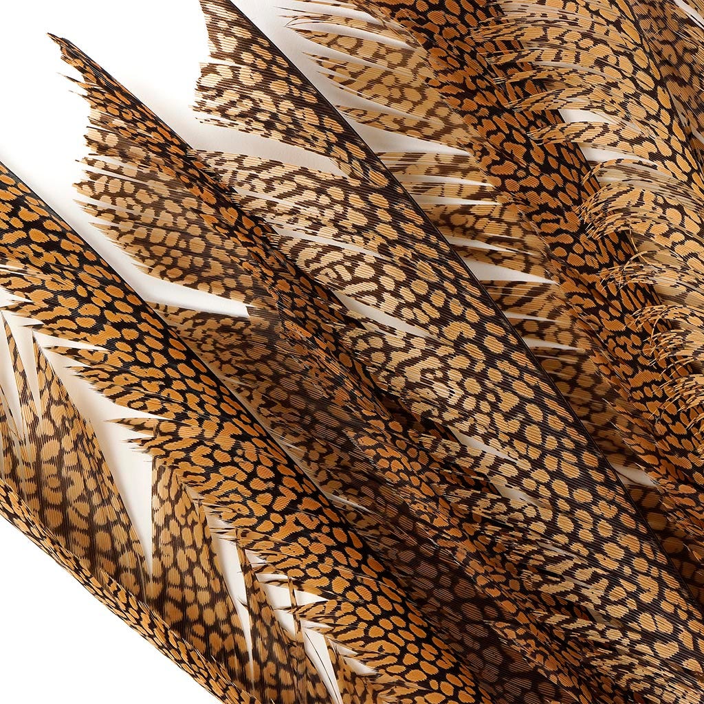 Natural Golden Pheasant Tail Center Feathers, 20 inches & up, 100 pieces, 2nd Quality Feathers