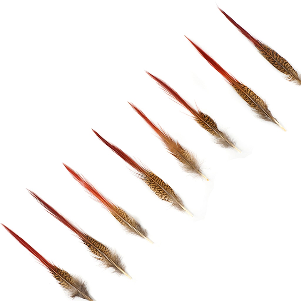 10 PC/PKG Golden Pheasant Red Top Tail Feathers  8-10" - Natural