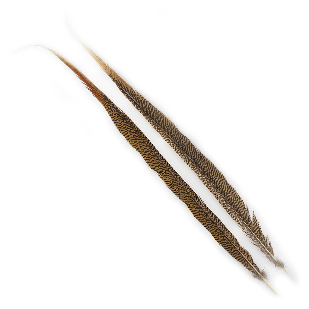 BGP30N Golden Pheasant Tails 25-30"  Natural (3 Pieces Per Package)