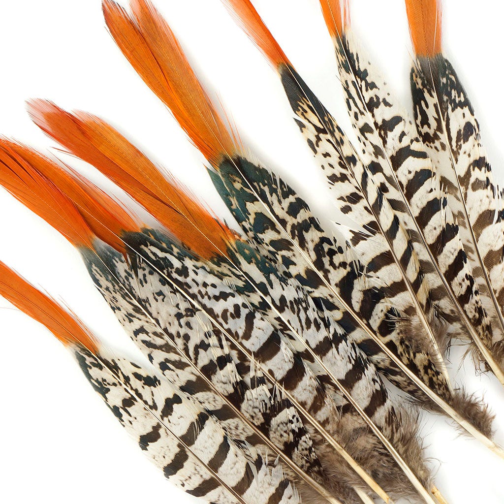 Lady Amherst Red Top Tail Feathers - Natural