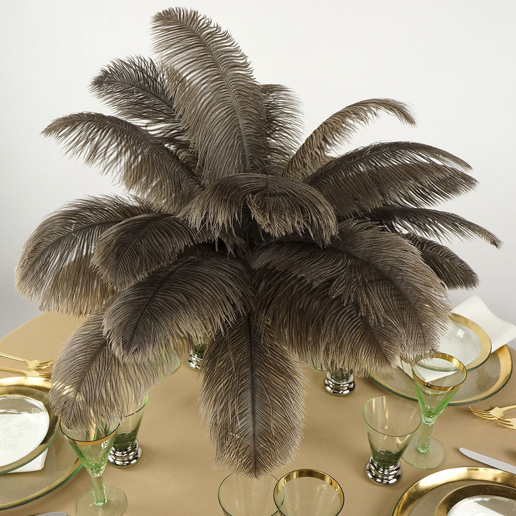 Ostrich Feathers 13-16" Drabs - Natural
