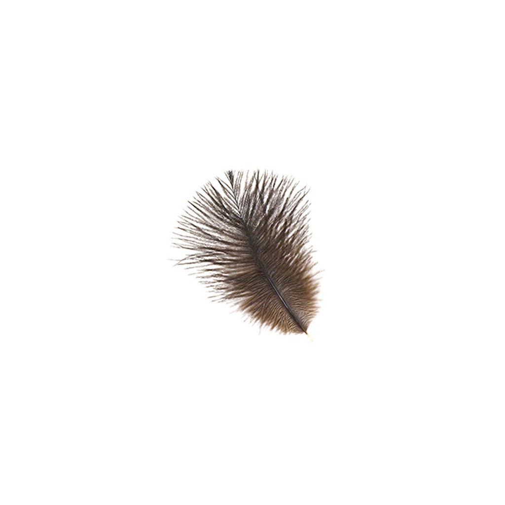 Ostrich Feathers 4-8" Drabs - Natural