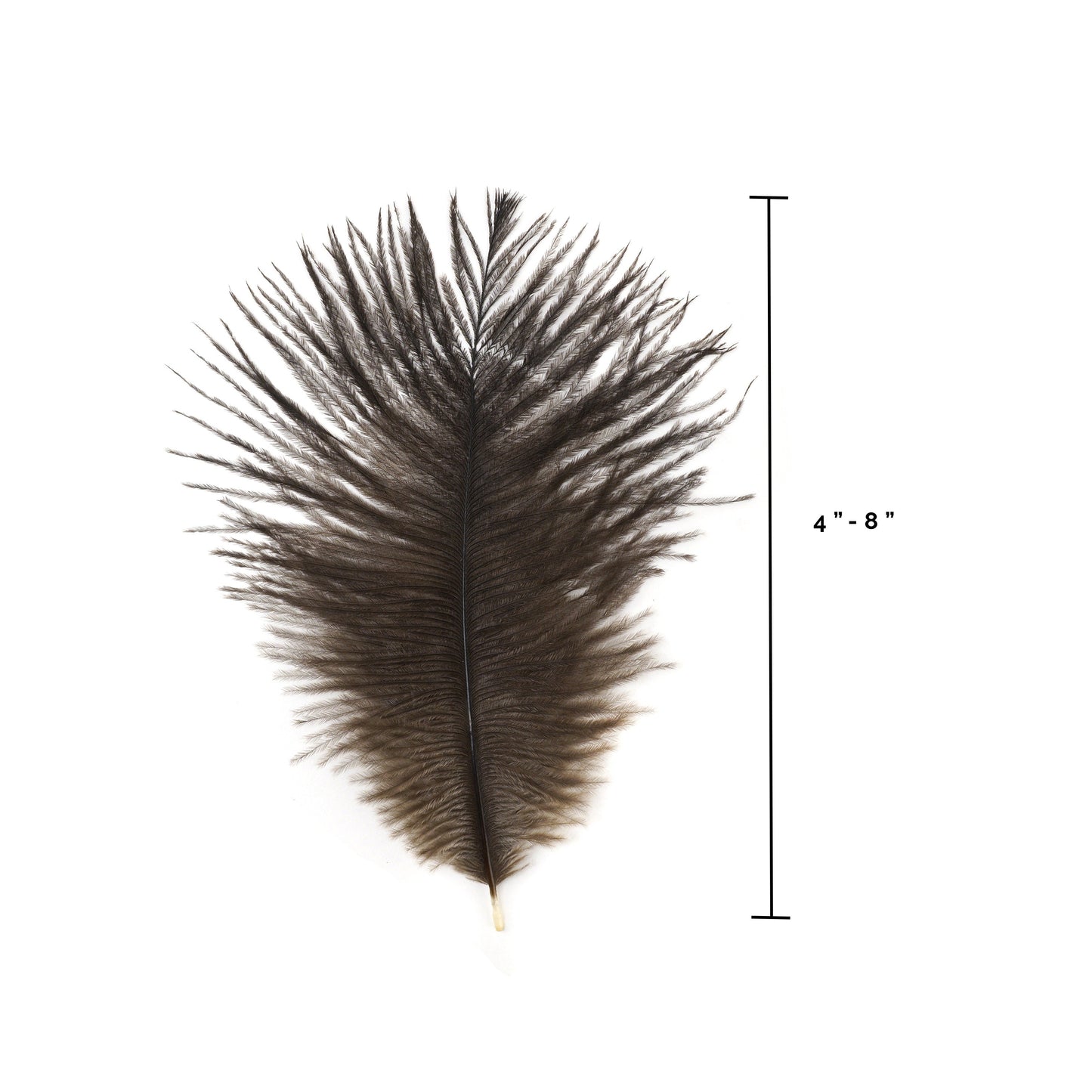 Natural Mini Ostrich Feathers 5-8 Inch per25