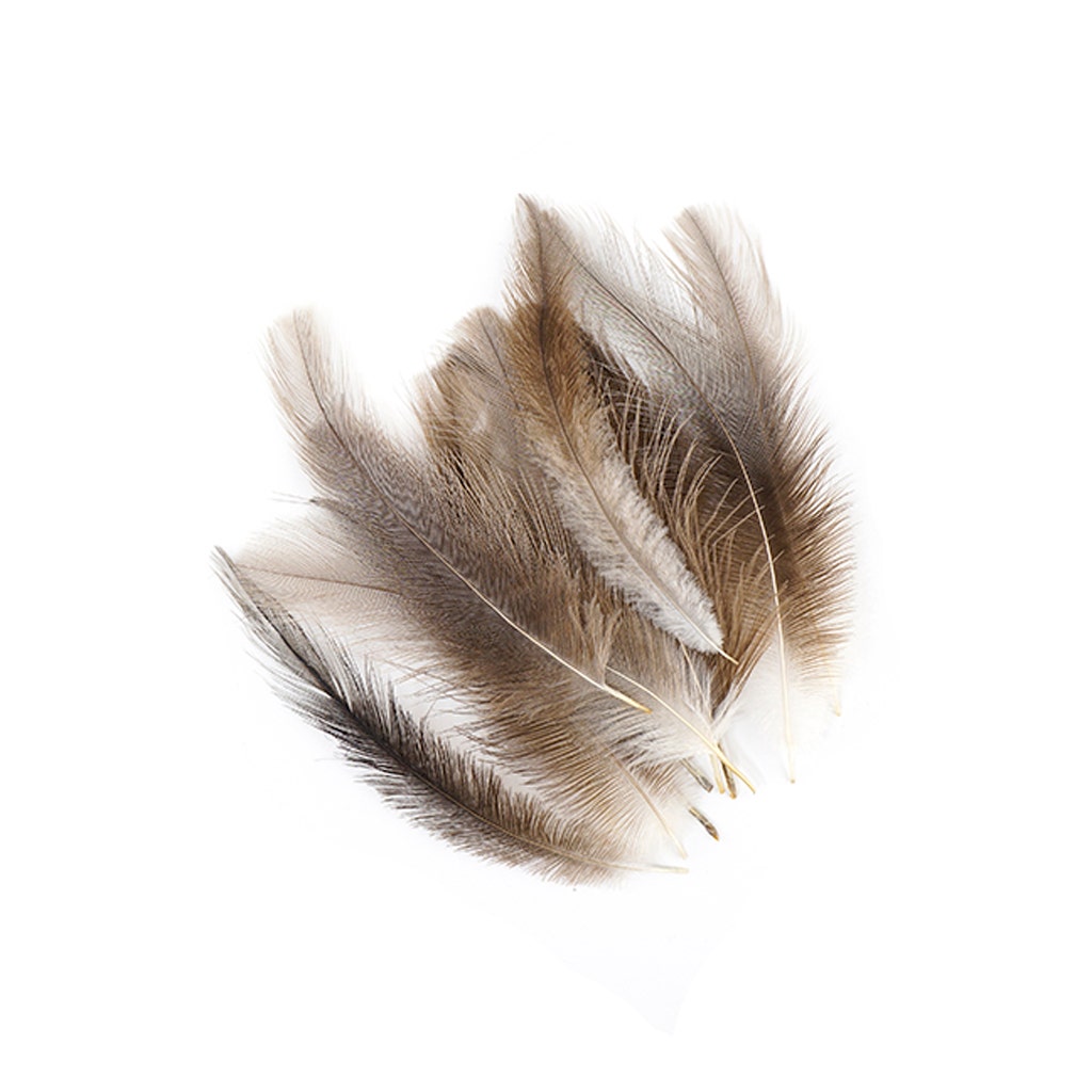Rhea Tail Feathers Selected - Natural