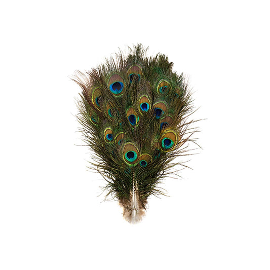 Peacock Tails w/Small Eyes - 4 - 10" - Natural
