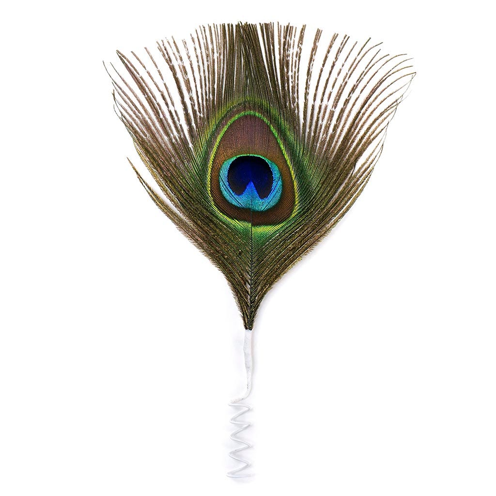 Feather Floral Pick w/Peacock Eye - Natural