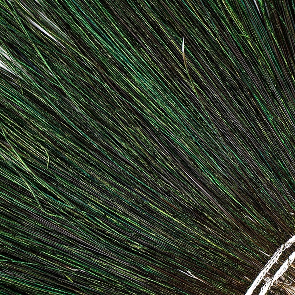 Peacock Feather Flue Natural - Natural