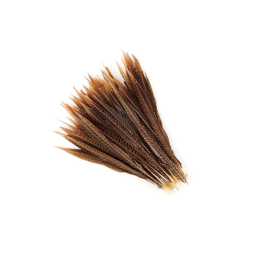 10 PC/PKG  Golden Pheasant Tails 10-12" - Natural