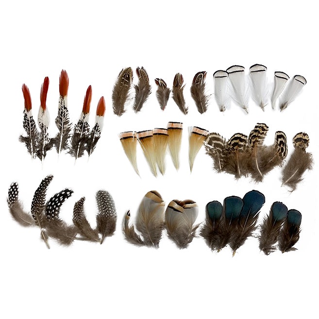 150 pcs Natural Color Pheasant Feathers Assorted Length Arts