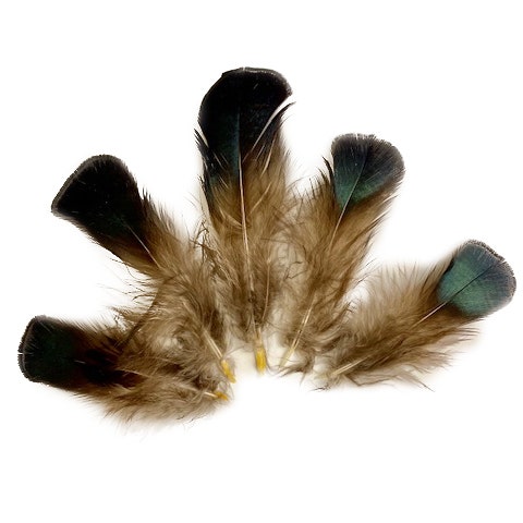 120pcs 5-7 Green Feathers for Crafts，Saddle Hackle Feather，Rooster  Feathers Bulk for Wedding Home Party, Dream Catcher Supplies and DIY  Crafts(Green)