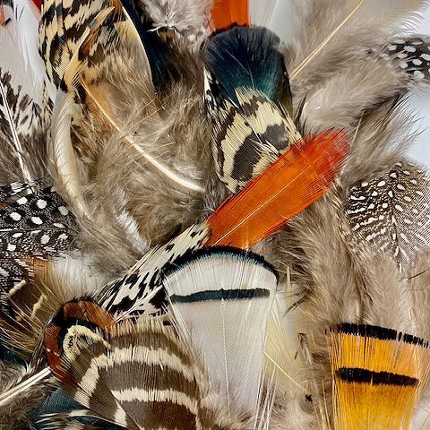 Pheasant Feathers, Natural Almond Pheasant Plumage, Loose Short