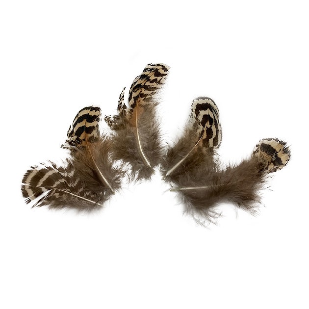 Colorations® Spotted Feathers - 1 oz.