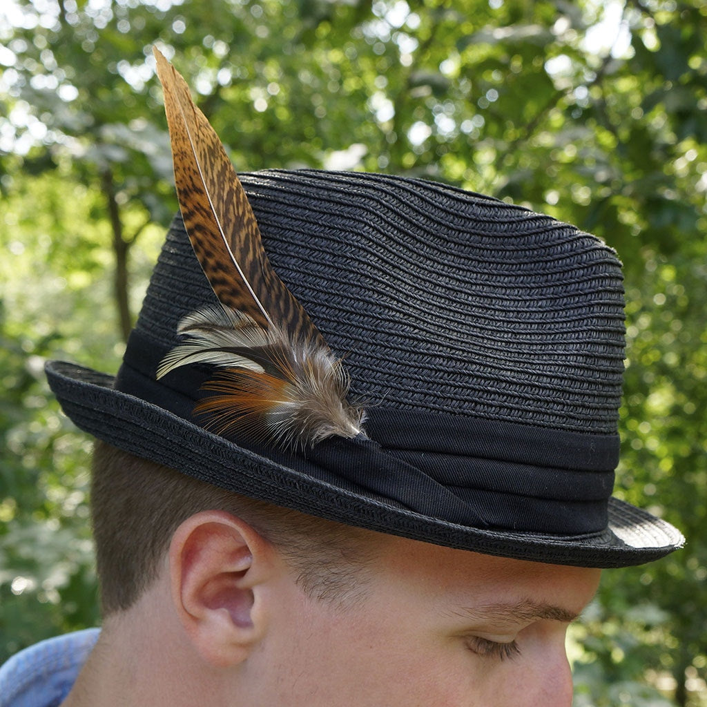 Light Hat Feather Trim With Pheasant and Hackle - Natural