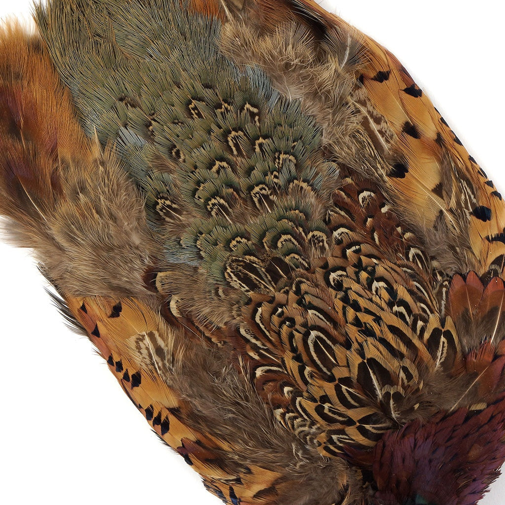 Ringneck Pheasant Pelts No Neck/Wing  #1 - Natural