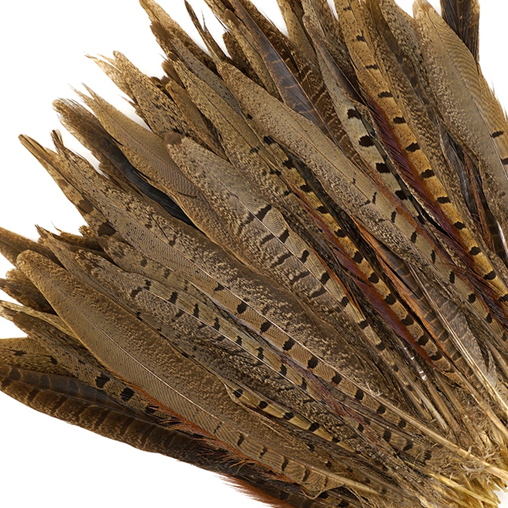 Ringneck Pheasant Tails - Natural - 8 - 10"