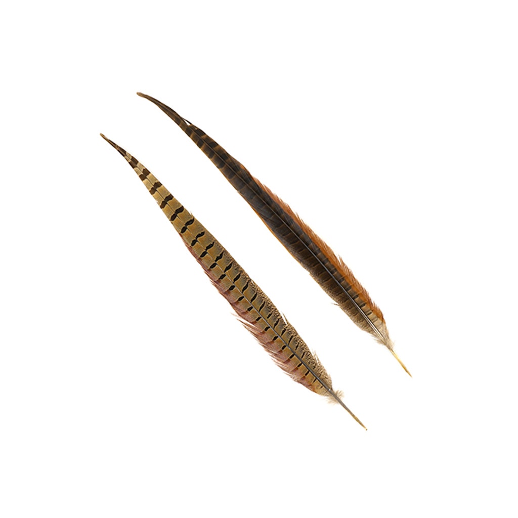 Silver Pheasant Tail Feathers - Natural - 8 - 12