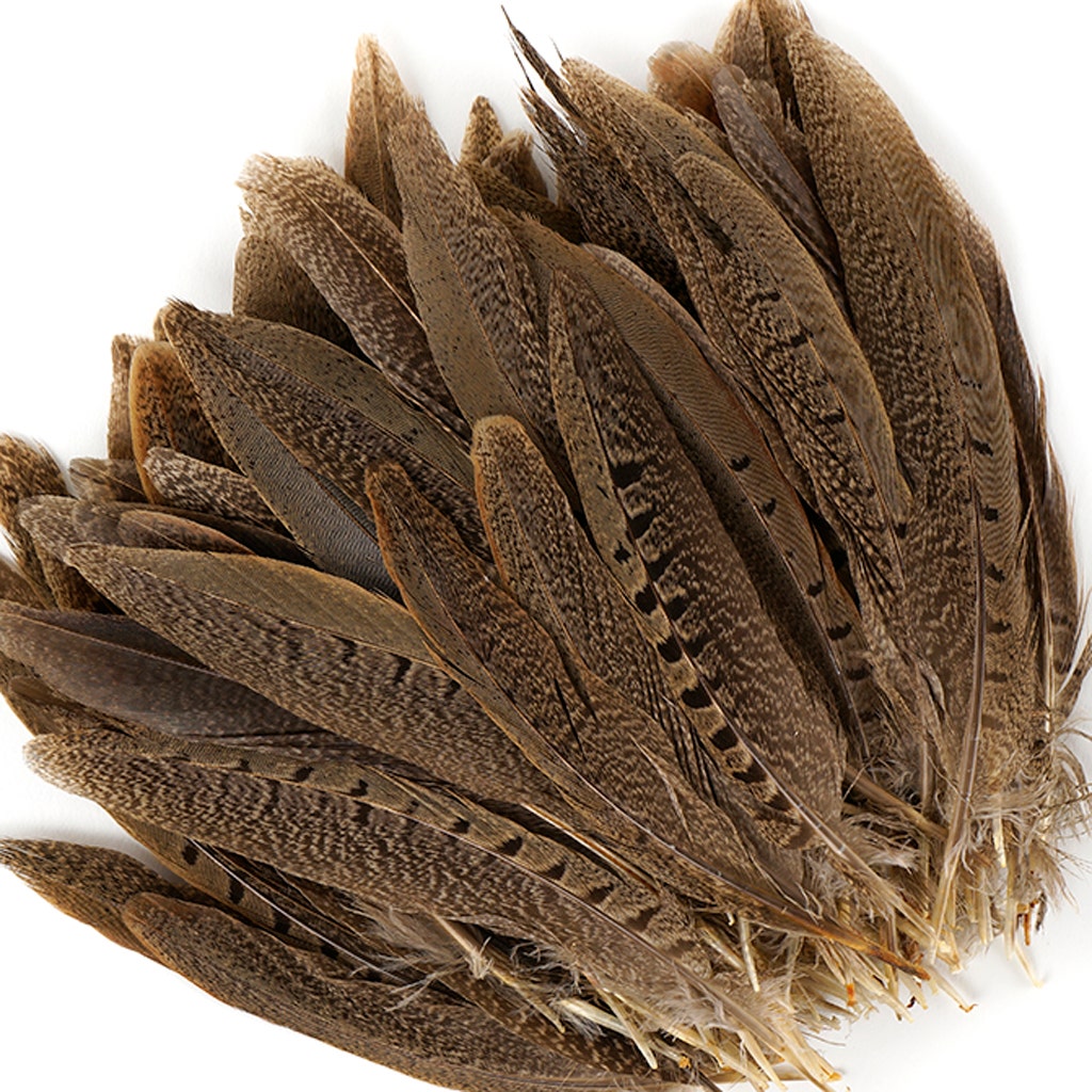 Pheasant Feathers, 14-16 Natural Reeves Venery Pheasant Tail Feathers, 10  Pieces