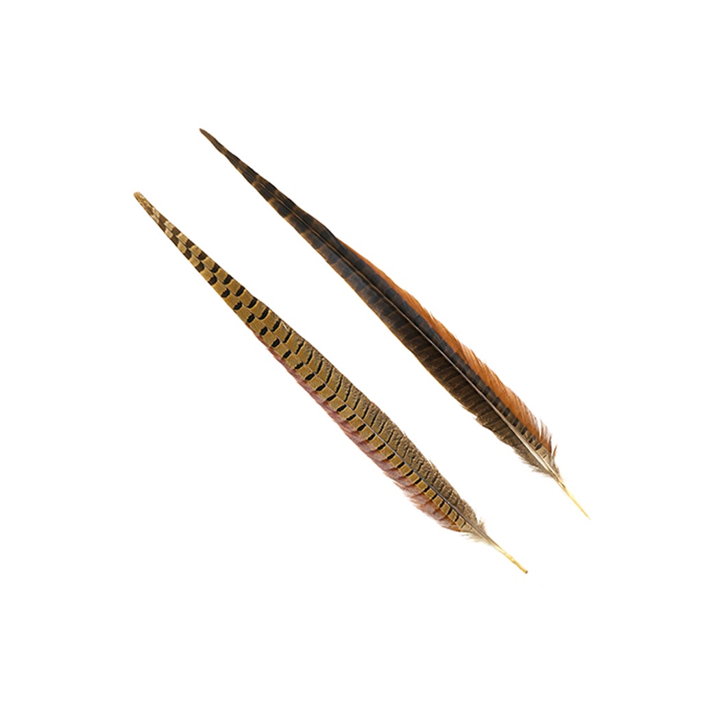 10 PC/PKG Female Ringneck Pheasant Tails  4-6"- Natural