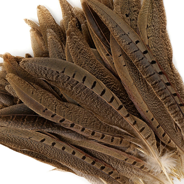 Pheasant Feather Tail Feathers  Natural Pheasant Tail Feathers