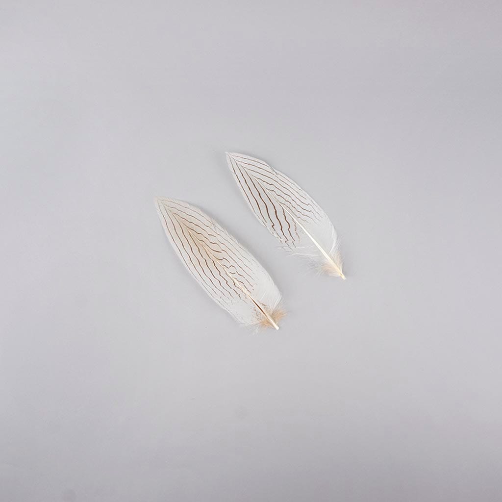 Silver Pheasant Tail Feathers - Natural - 6 - 8"