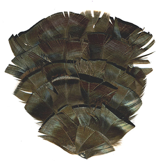 Bronze Turkey Flats Feather Pad - Natural