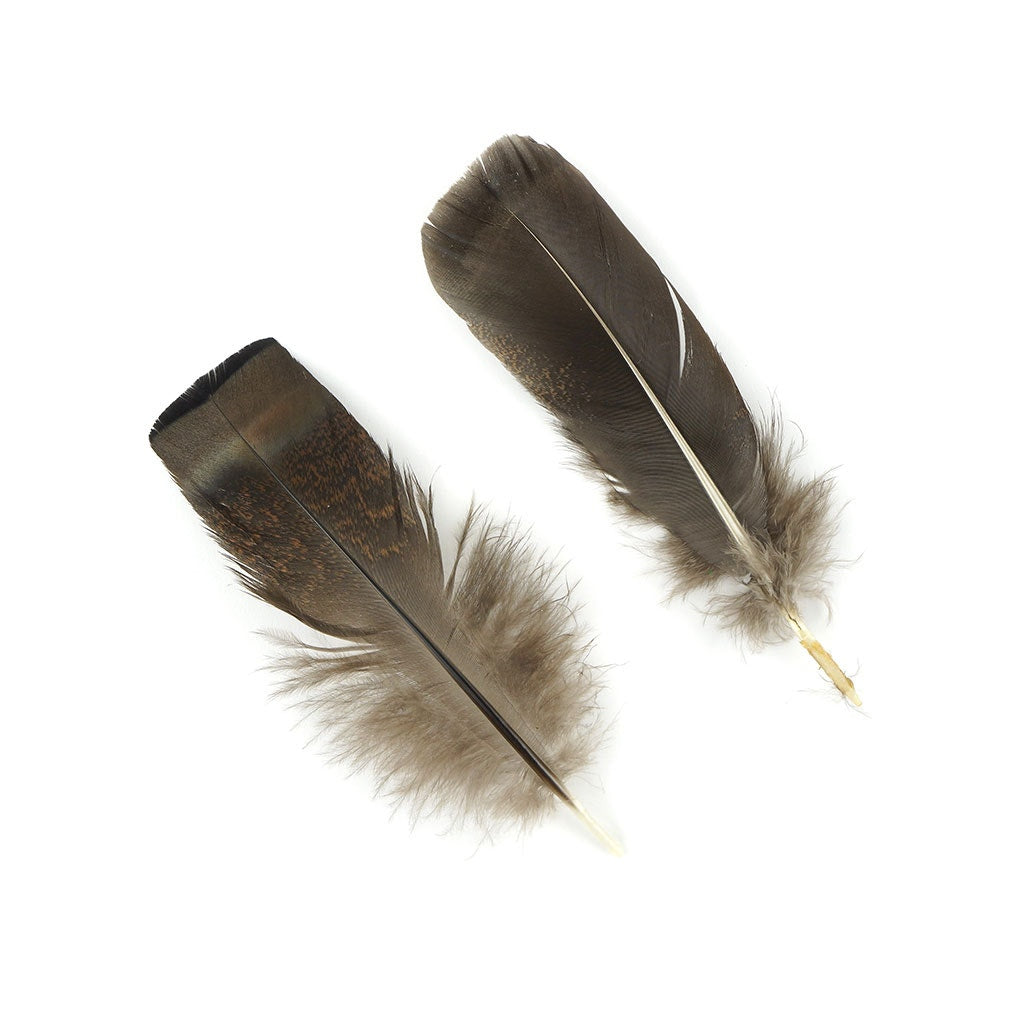 Turkey Rounds Bronze Feathers - Natural