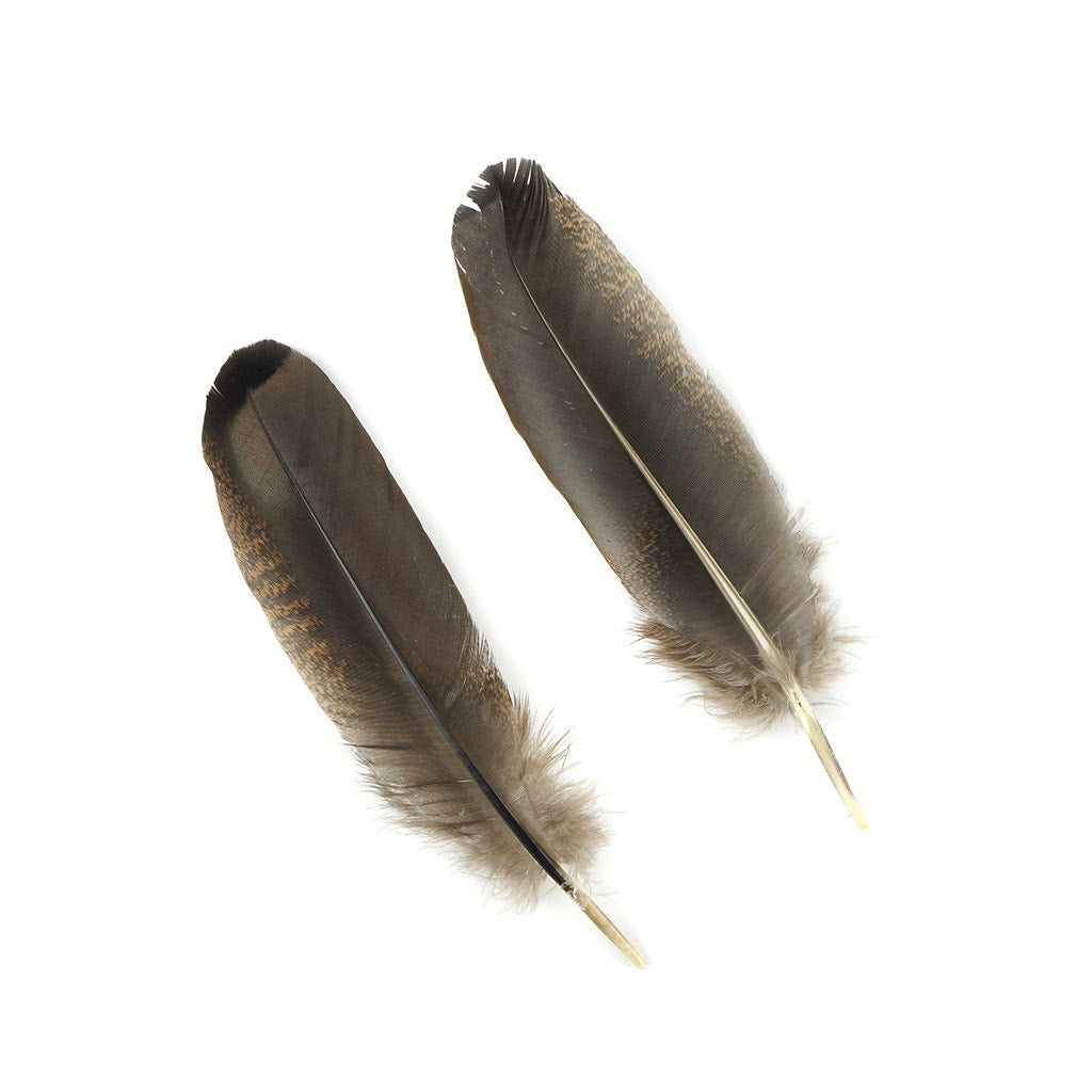 Turkey Rounds Bronze Feathers - Natural