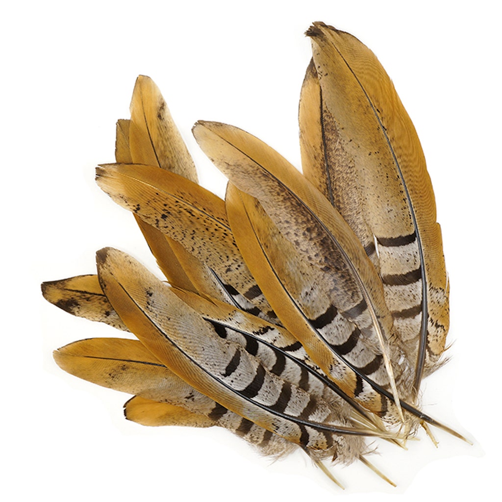 Venery Pheasant Tails - Natural - 6 - 8"