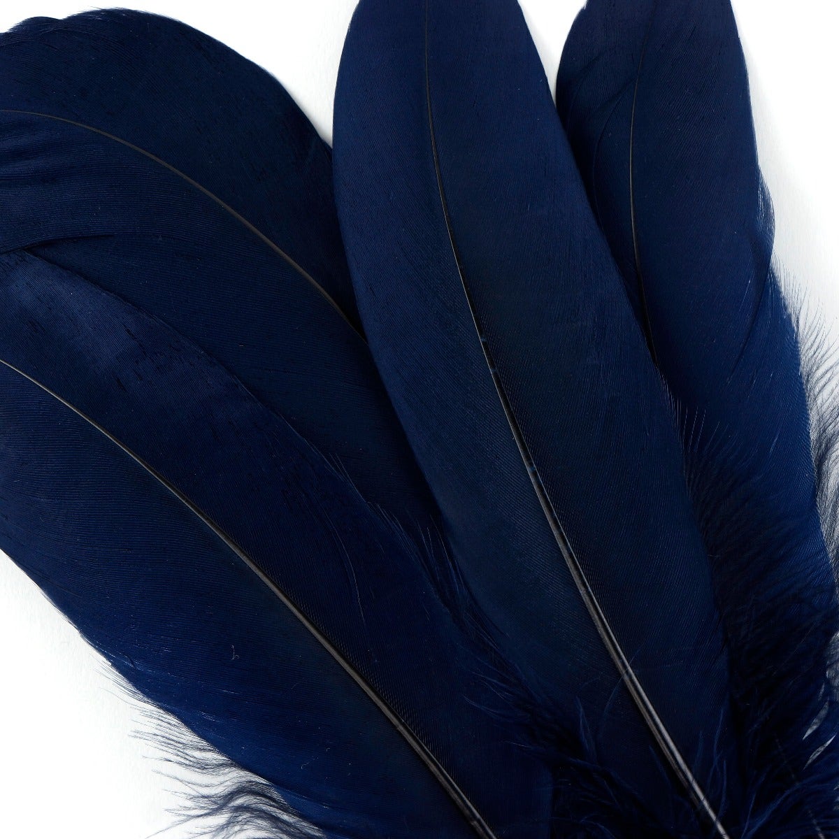 Goose Pallet Feathers 6-8" - 12 pc - Navy