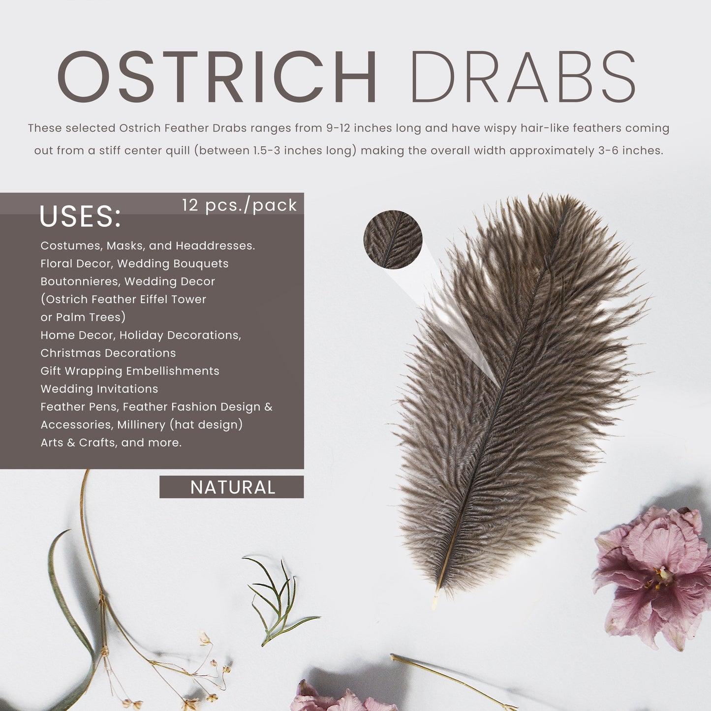 Ostrich Feathers 9-12" Drabs - Natural