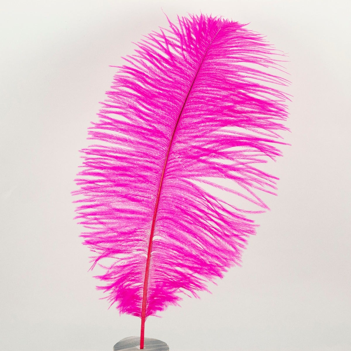 Ostrich Tails 16-18 inch - 30 PC - Shocking Pink