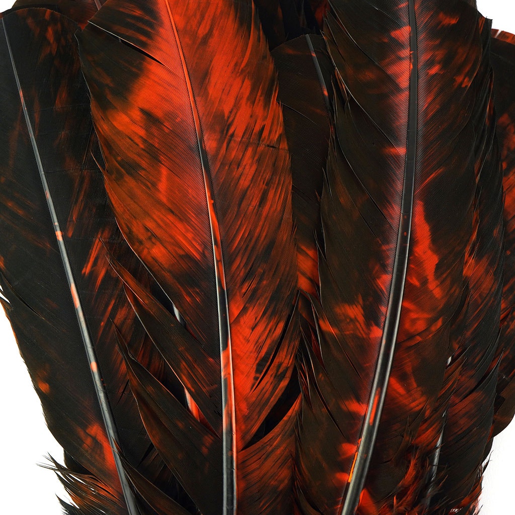 Turkey Quill - Tie Dye - Orange and Black